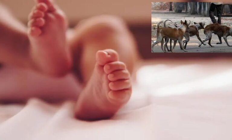jadcherla-newborn-death-stray-dogs-incident-mahabubnagar-780x470