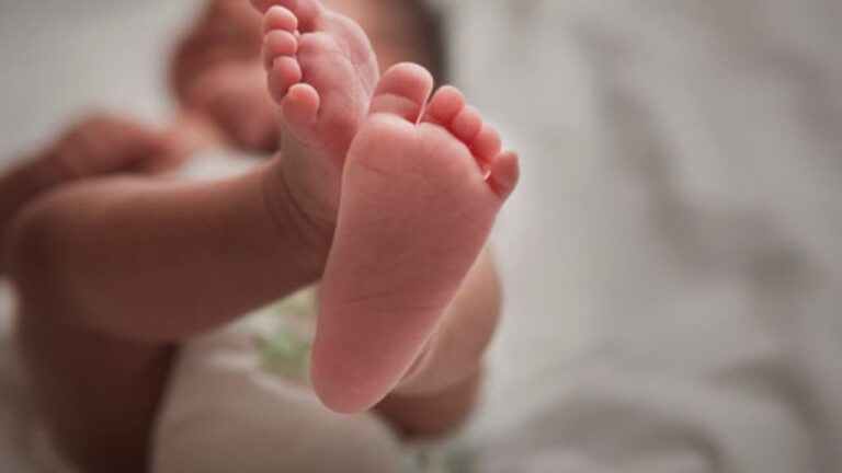 w-1280,h-720,croprect-0x4x800x450,imgid-01hpccc2zxa9mazgkbc1mrq95w,imgname-new-born-baby